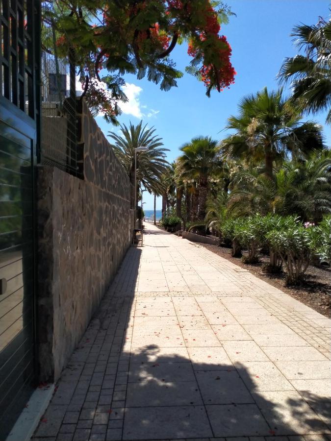 Apartamento Bambú San Agustín Exterior foto